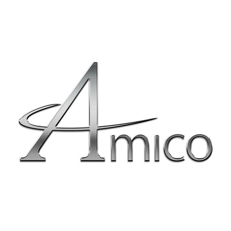 Monitor Mount - Category Image - Amico
