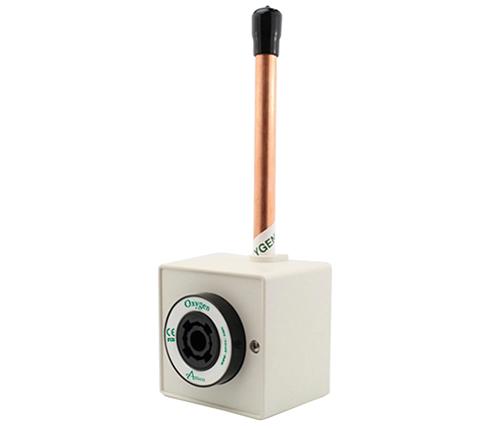 Main image for Amico's British Standard Outlet